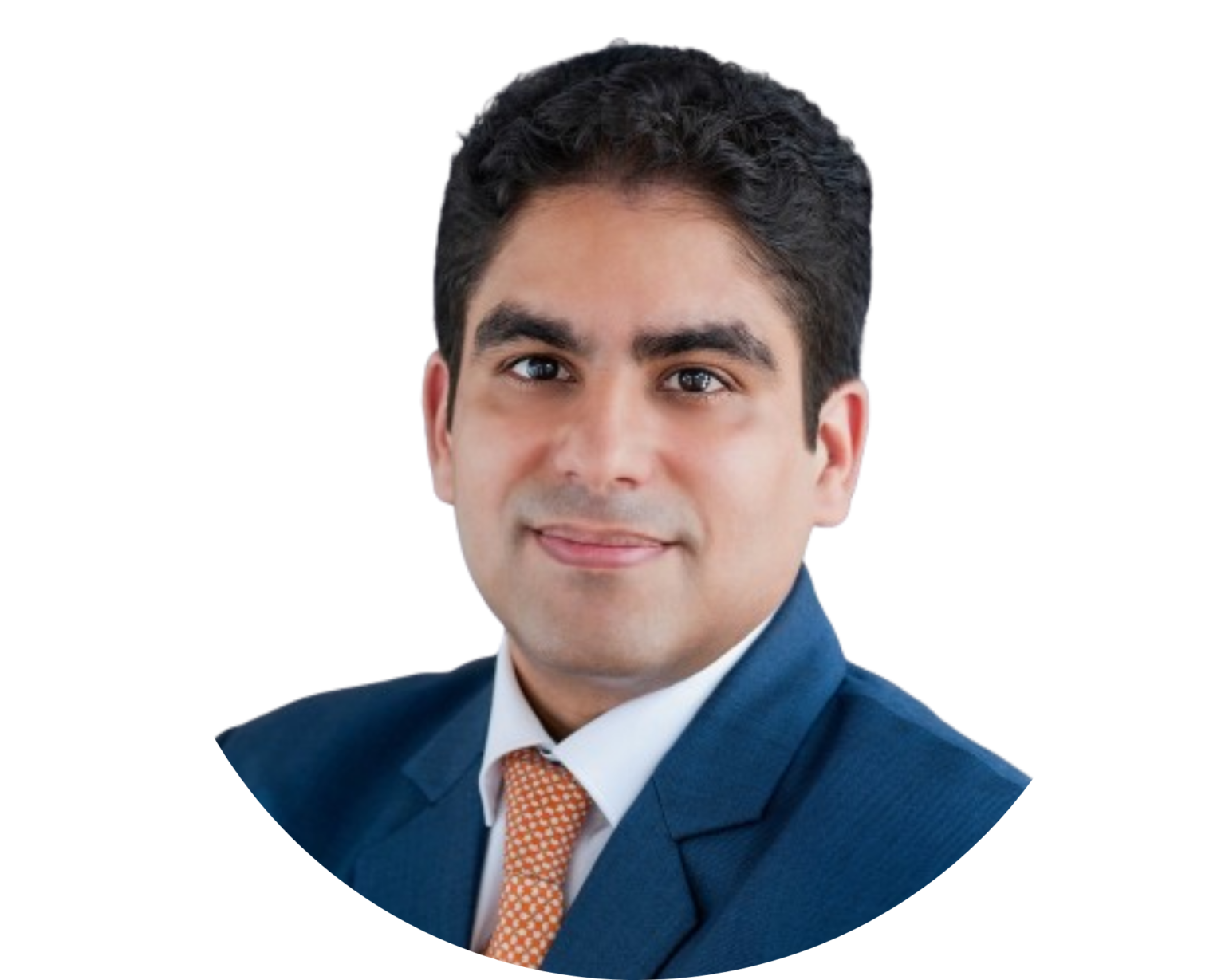 The Indian Business Law Review